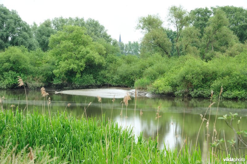 De Durme in Appelsvoorde