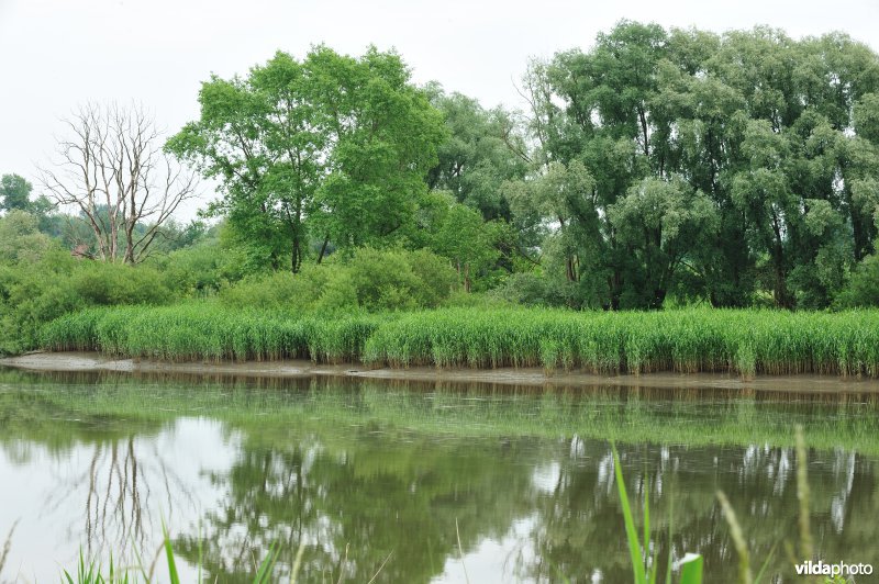 De Durme in Appelsvoorde