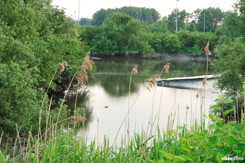 De Durme in Hamme