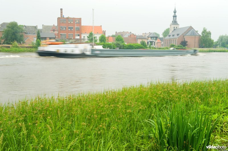 Schelde tussen Grote Wal en Baasrode