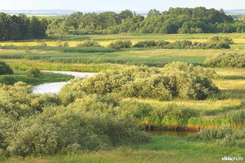 Vallei van de Biebrza