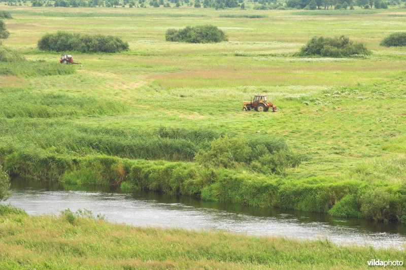 Vallei van de Biebrza
