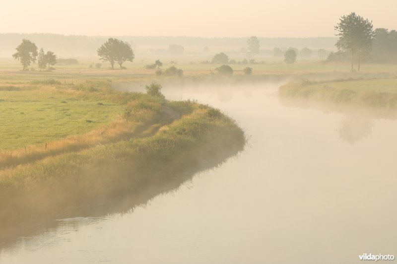 De Narew rivier