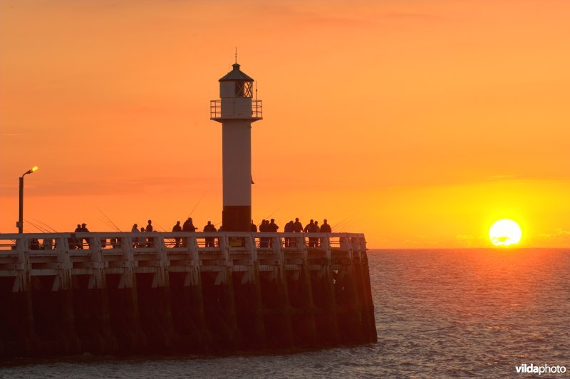 Westerstaketsel te Nieuwpoort
