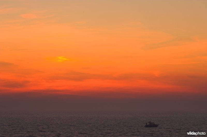 De Noordzee