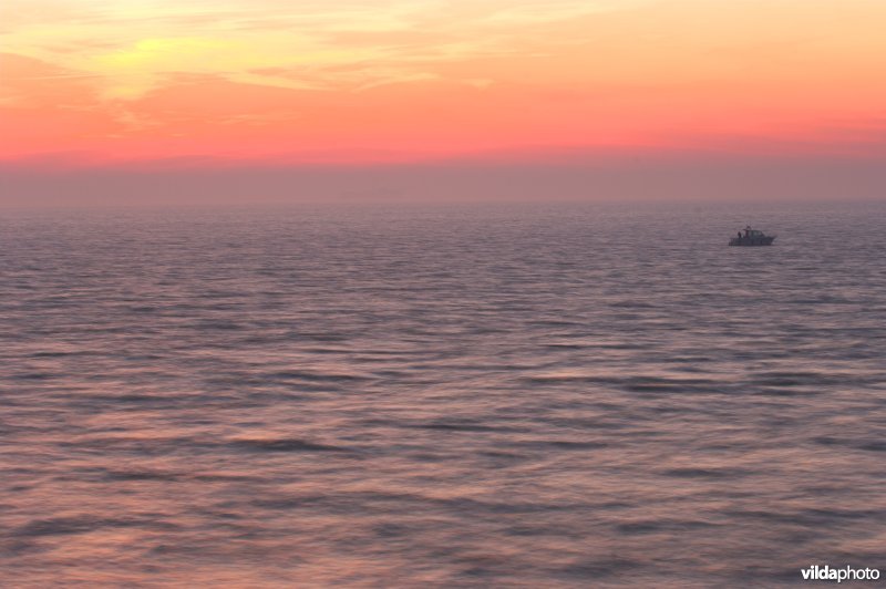 De Noordzee