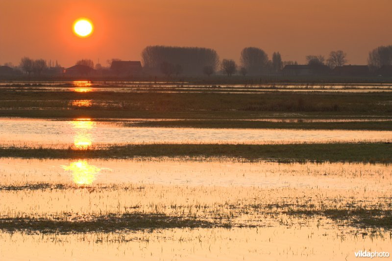 Overstroomde Merkembroeken