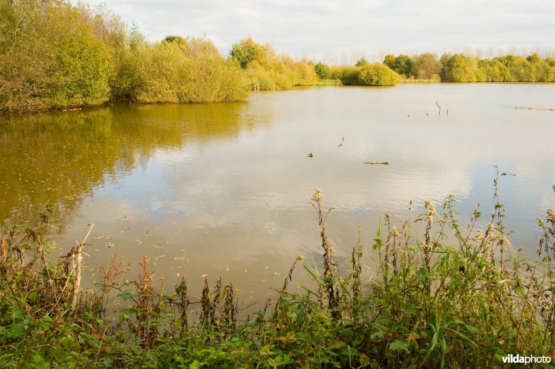 Natuurreservaat Vierkensbroek in de herfst