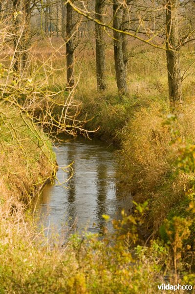 Grote Leigracht in de Kloosterbeemden