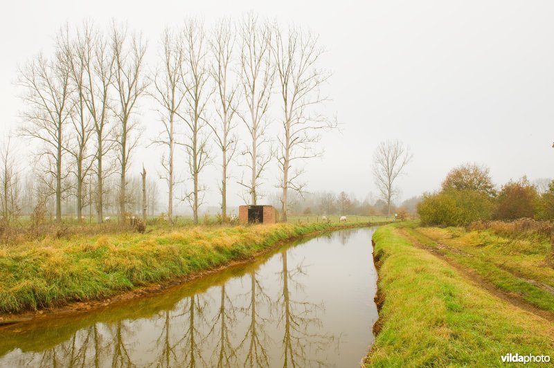 Leigracht in de Demerbroeken