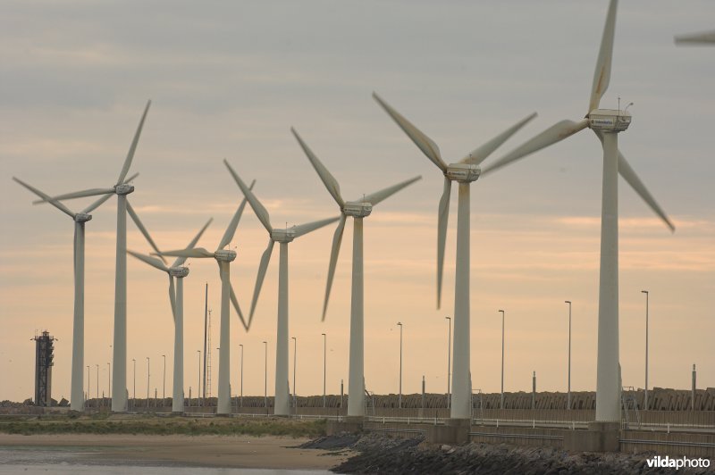 Windmolens in de voorhaven van Zeebrugge