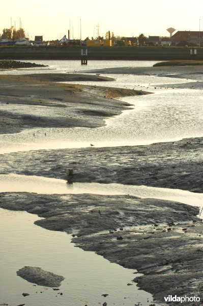 Kreek in de IJzermonding