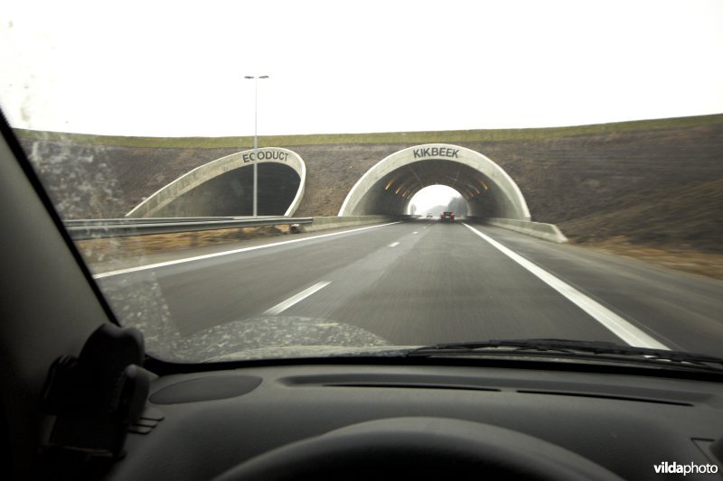 Ecoduct Kikbeek