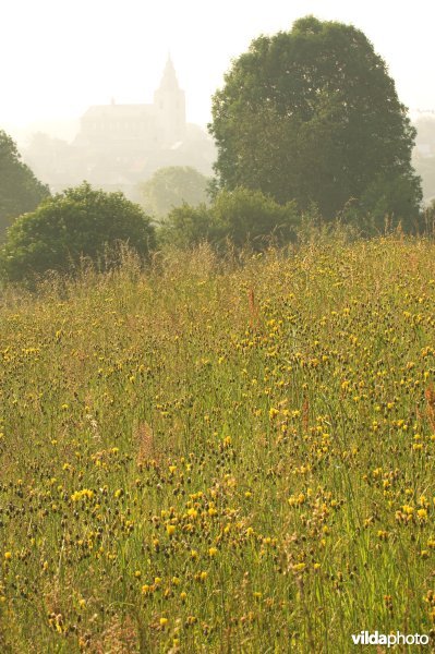 Natuurreservaat Rosdel