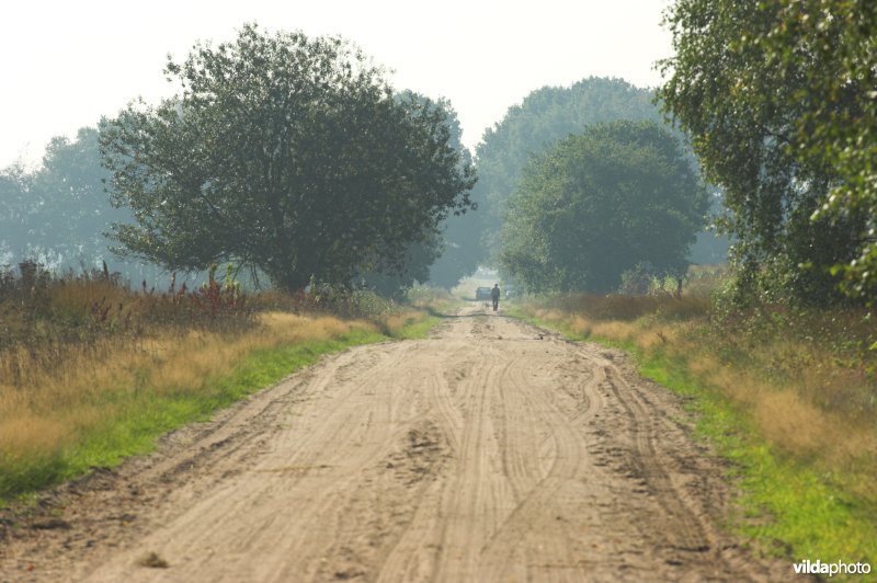 Zandwegje in de Kempen