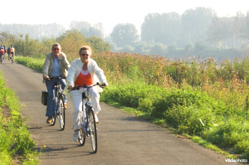 Fietsers langs de Schelde