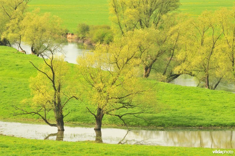 De Franse Maas