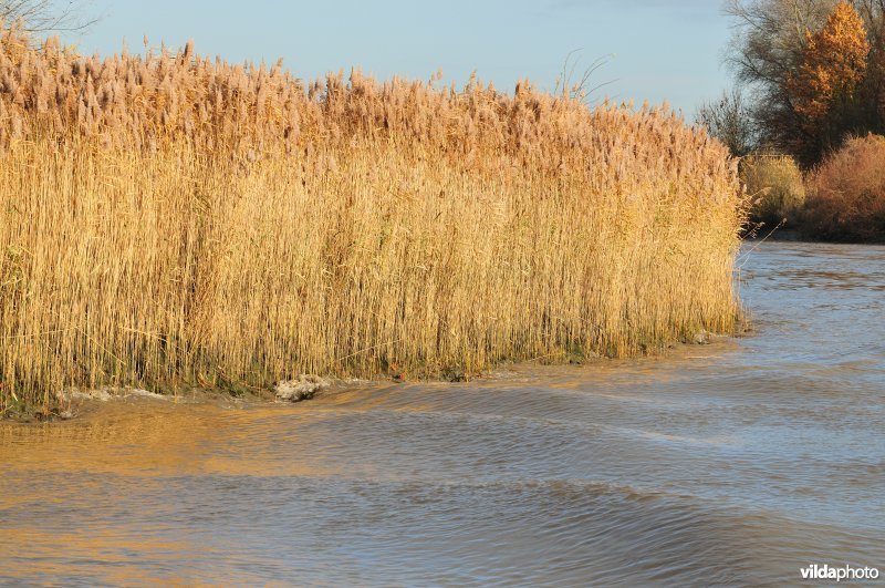 Golfslag door boten