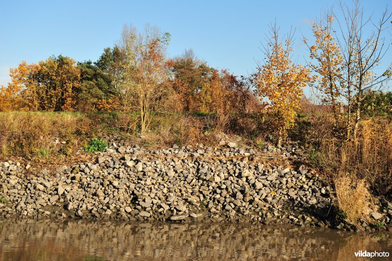 Steenstort op de Schelde oever