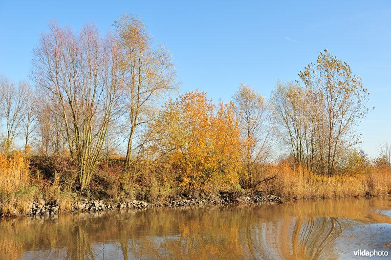 Steenstort op de Schelde oever