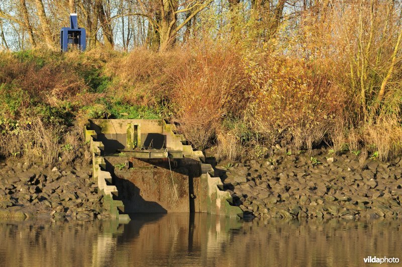 Overstort op de Schelde