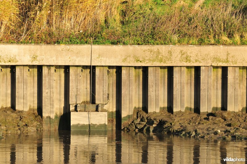 Overstort op de Schelde