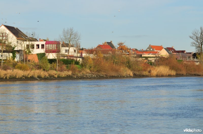 Bebouwing op de Scheldeoever