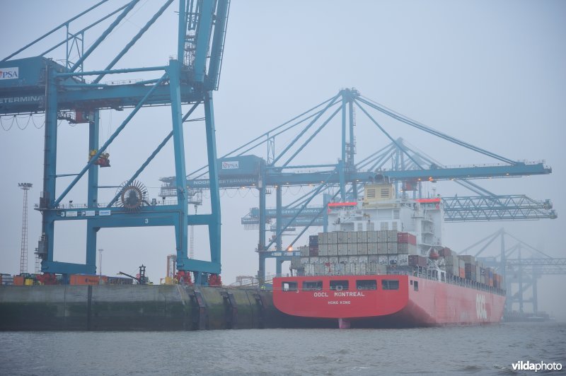 Haven van Antwerpen