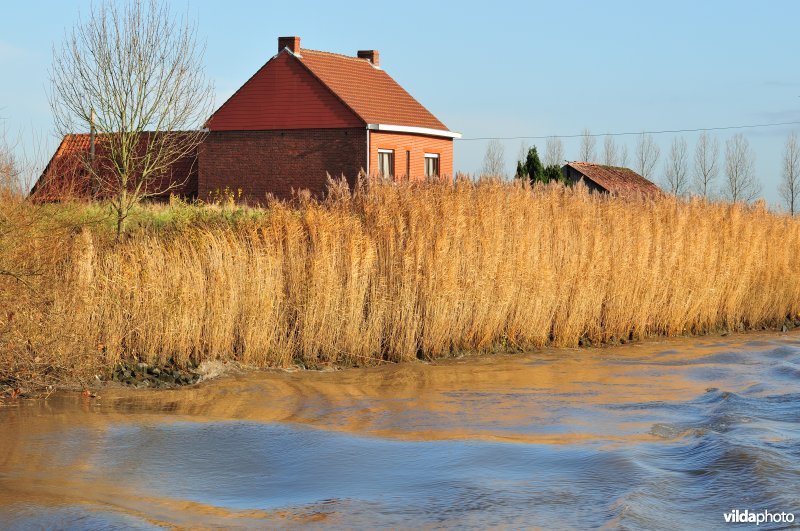 Bebouwing langs de Schelde