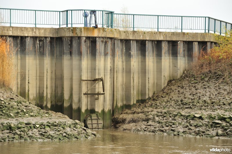 Overstort op de Schelde