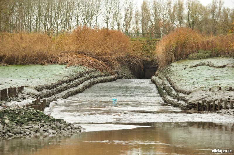 Overstort op de Schelde