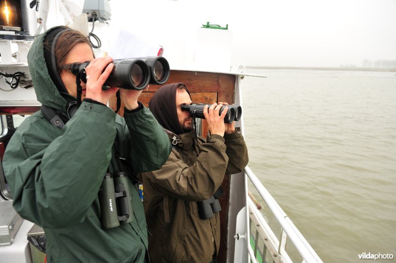 Monitoring op de Schelde