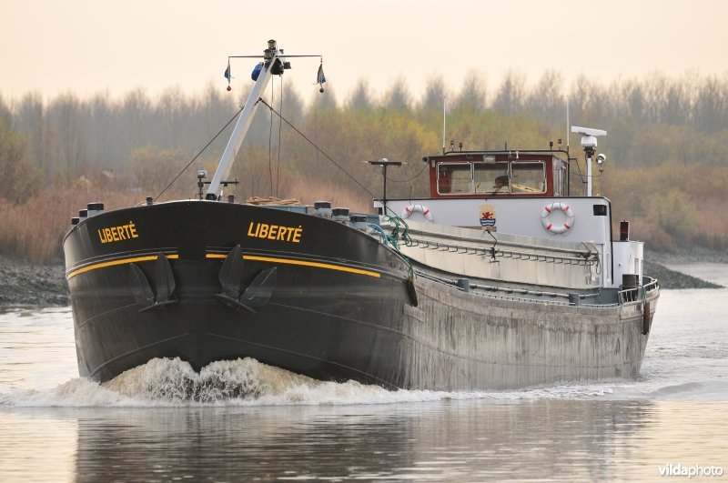Vrachtboot op de Schelde