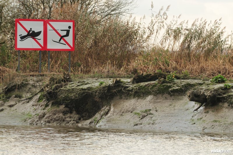 Erosie op zoetwaterschor