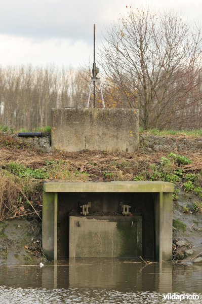 Overstort op de Schelde