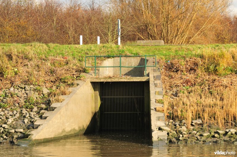 Overstort op de Schelde