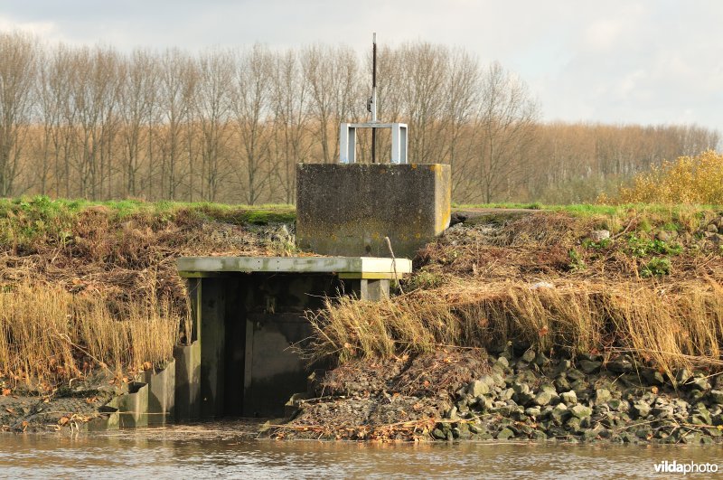 Overstort op de Schelde