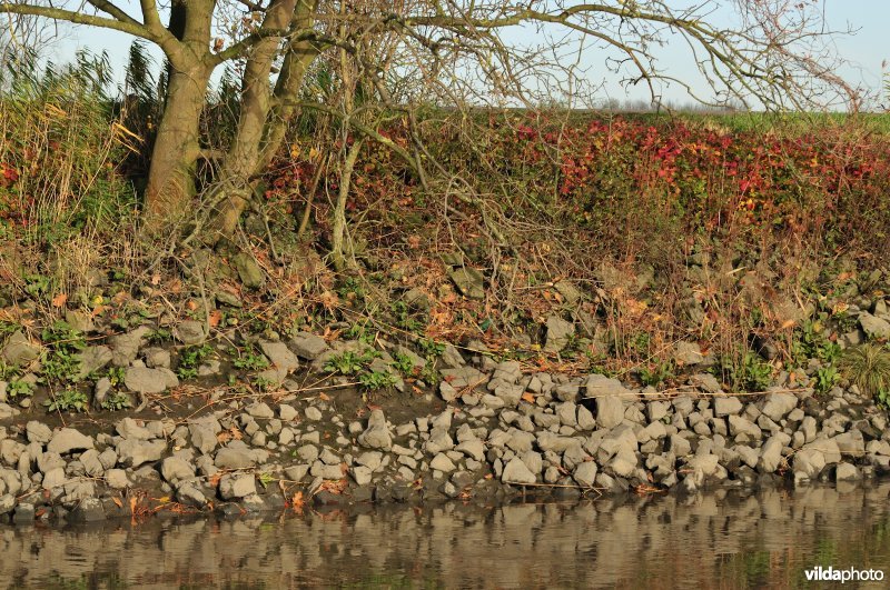 Schelde met steenstortoever