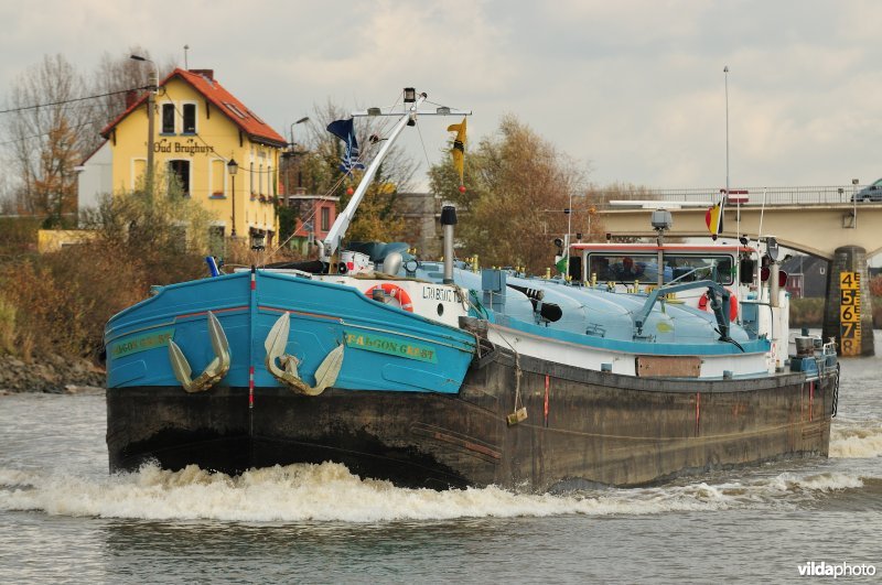 Vrachtboot op de Schelde