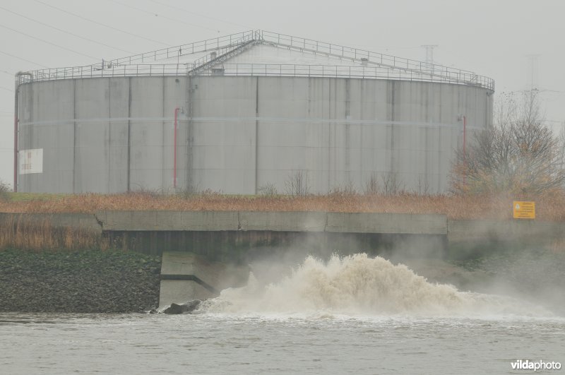 Zeeschelde in de Haven van Antwerpen