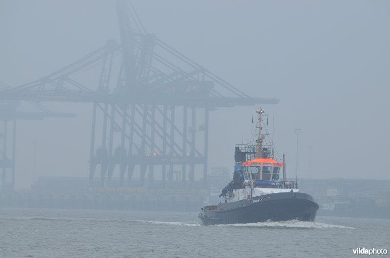 Zeeschelde in de Haven van Antwerpen