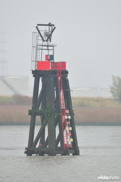 Scheldebaken de Haven van Antwerpen