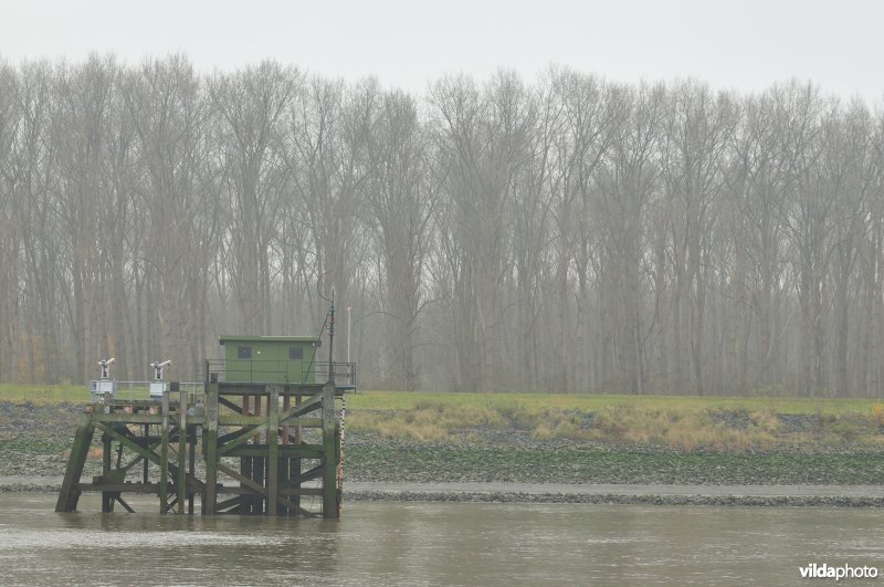 Sint-Annabos langs de Schelde