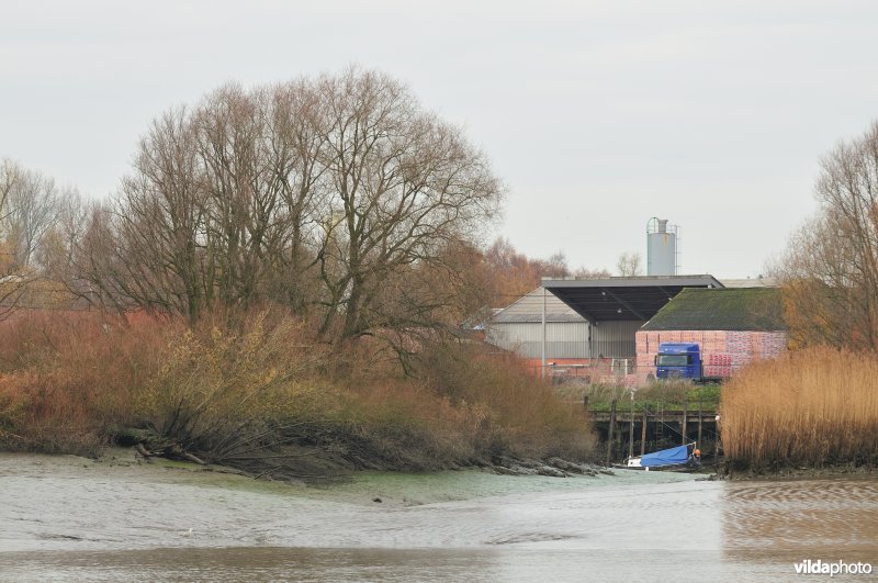 Kreek in het Kijkverdriet