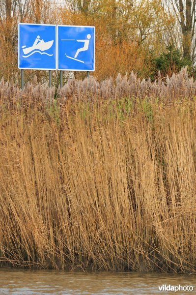 Zone voor waterskisport op de Schelde