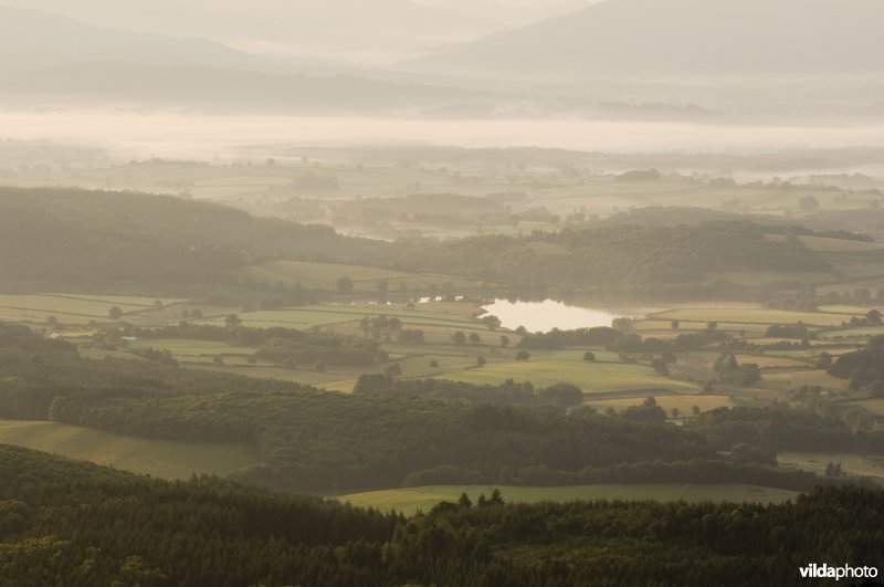 Ochtendnevels in een dal in de de Morvan, Frankrijk