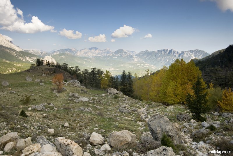 Herfst in berglandschap in Turkije