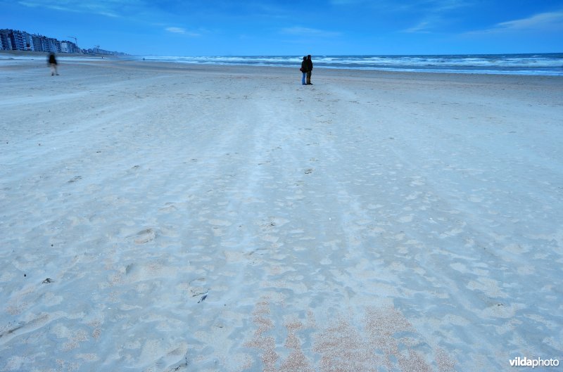 Koppeltje op het strand van Koksijde