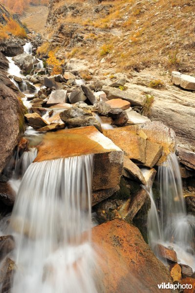 Nationaal park Gran Paradiso