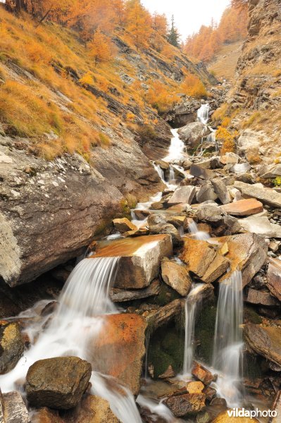 Nationaal park Gran Paradiso